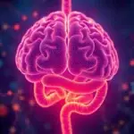 Gut Microbiome-Brain Axis and Mental Health Disorders