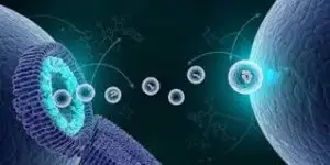 Exosomes in Skincare