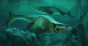 Meet Tylosaurus Rex: The Other T.Rex That Ruled the Cretaceous Seas