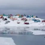 The Coil and the Coast Guard: Greenland Caught Between America’s Ambitions and Denmark’s Reckoning