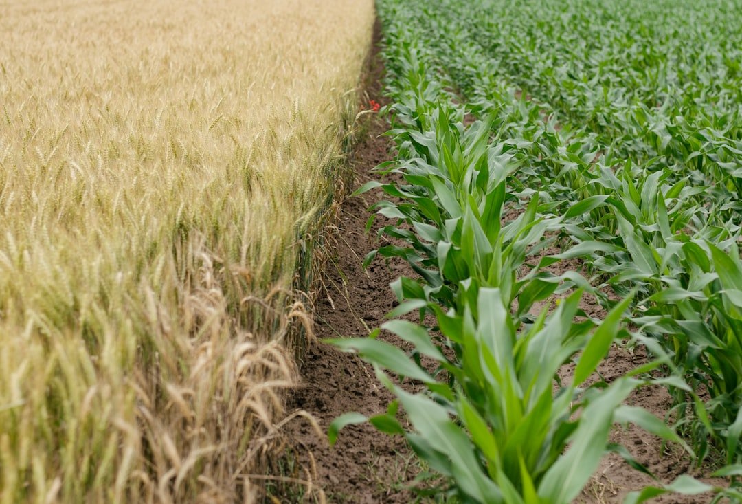 Agriculture fields experience drift.